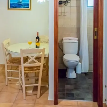 Anthias Garden Frínion