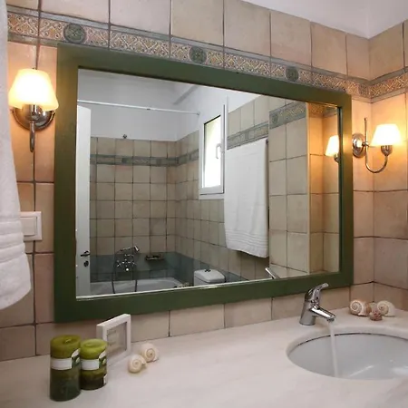 Anthias Garden Frínion